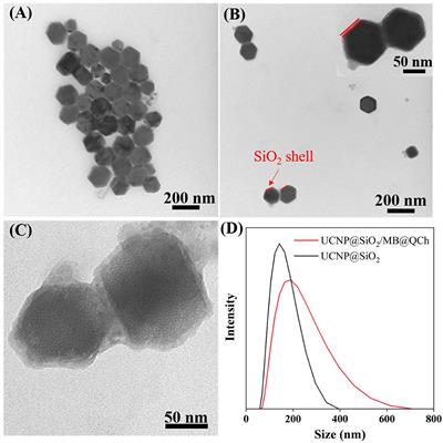 Enhanced Eradication of Enterococcus faecalis Biofilms by Quaternized Chitosan-Coated Upconversion Nanoparticles for Photodynamic Therapy in Persistent Endodontic Infections